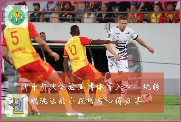 新手首次体验亚博体育入口，玩转游戏玩法的小技巧与心得分享