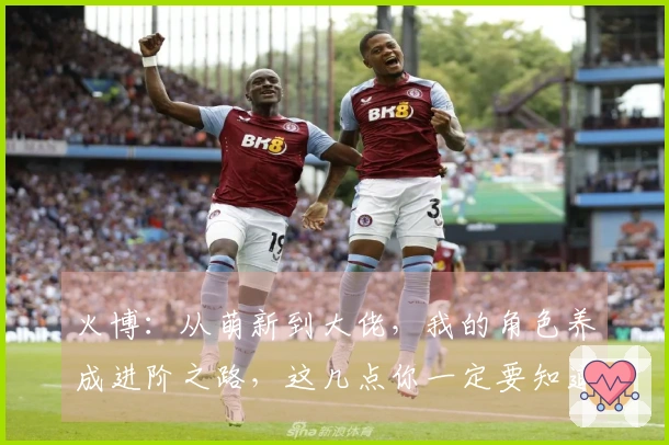 火博：从萌新到大佬，我的角色养成进阶之路，这几点你一定要知道